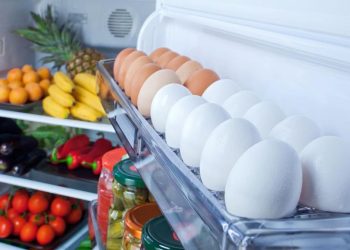 Berapa Lama Telur Dapat Disimpan di Kulkas dan Informasi Penting Lainnya