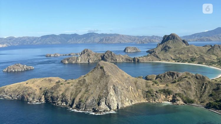 Polemik Rencana Pembangunan Ratusan Vila di Pulau Padar Taman Nasional Komodo Hari Ini