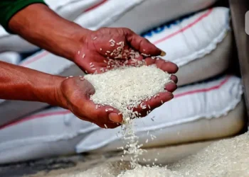 Kenaikan HET Beras, Perlindungan untuk Petani dan Konsumen Diperlukan