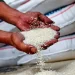 Kenaikan HET Beras, Perlindungan untuk Petani dan Konsumen Diperlukan