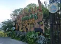 Lembang Park Zoo Tutup Sementara Setelah Insiden Macan Tutul Lepas