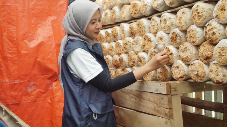 Relawan Dorong Kemandirian Desa Medanglayang Melalui Pertanian