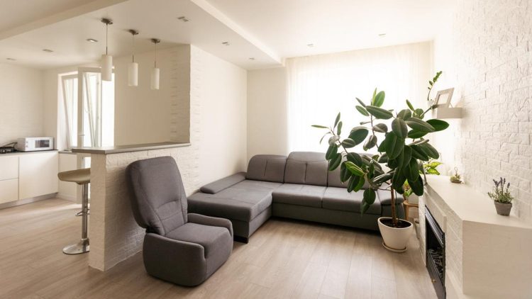 Ciri-ciri Rumah Sehat untuk Hidup Nyaman dan Pikiran Tenang