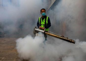 Serangan Nyamuk Ganas Menewaskan 3.000 Orang, Kota Menjadi Kuburan