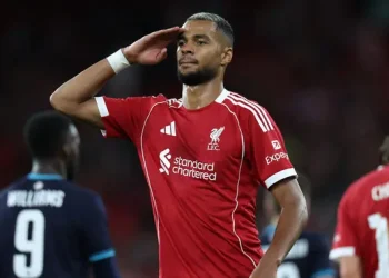 Liverpool Amankan Masa Depan Cody Gakpo Lewat Kontrak Baru