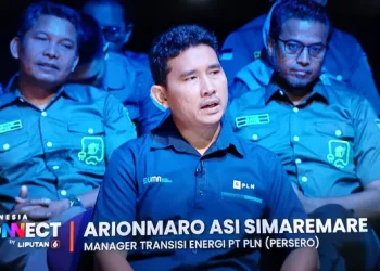 EBT di Indonesia, PLN Perlu Membangun Supergrid untuk Penyediaan Listrik