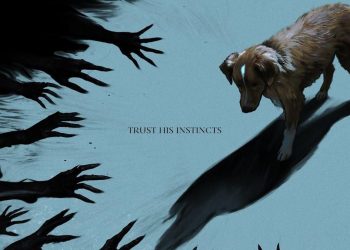 Sinopsis Film Horor Good Boy dari Sudut Pandang Anjing Peliharaan yang Menarik