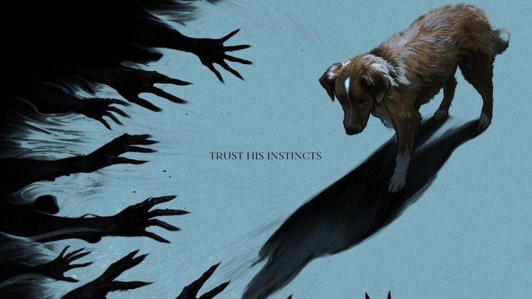 Sinopsis Film Horor Good Boy dari Sudut Pandang Anjing Peliharaan yang Menarik