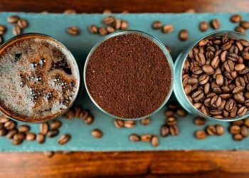 Minum Kopi di Waktu Ini Menurut Sains untuk Mencegah Kematian Dini