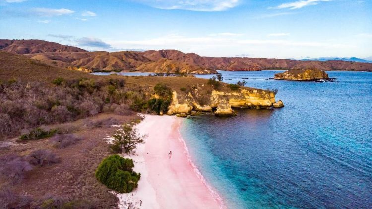 Pink Beach Pulau Komodo Menjadi Pantai Terindah di Dunia