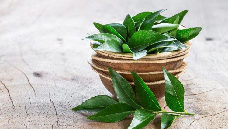 5 Air Rebusan Daun dan Teh yang Ampuh untuk Mengecilkan Perut Buncit