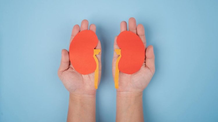 Gejala Gagal Ginjal Mirip Maag, Apa Saja Tandanya?