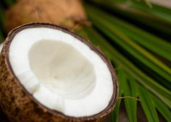 Hari Kelapa Sedunia 2 September 2025, Mengenang Manfaatnya untuk Kesehatan