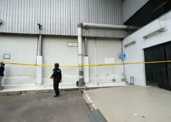 Kasus Udang Beku Indonesia Tercemar Radioaktif Pabrik Peleburan Stainless Steel Disegel