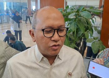 Merger Pelita Air dan Garuda Indonesia Masih Dalam Tahap Evaluasi Menurut Bos Danantara