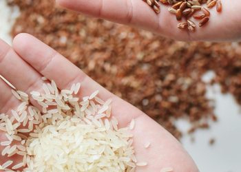 Manfaat Nasi Merah dibanding Nasi Putih untuk Kesehatan Jantung dan Gula Darah