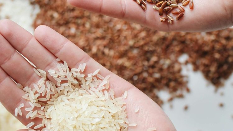 Manfaat Nasi Merah dibanding Nasi Putih untuk Kesehatan Jantung dan Gula Darah