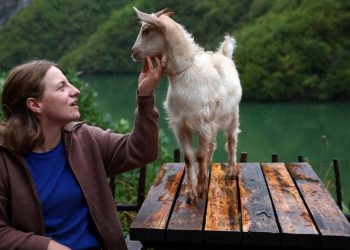 Gen Z Peternak Kambing Usia 24 Tahun Terpilih Jadi Anggota Dewan