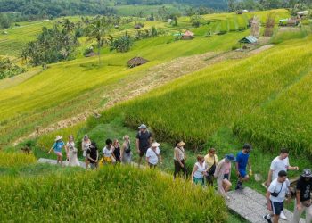 Panduan Jelajah Bali Unik, Destinasi Tak Biasa untuk Pengalaman Berbeda