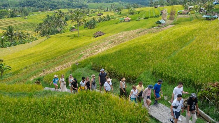 Panduan Jelajah Bali Unik, Destinasi Tak Biasa untuk Pengalaman Berbeda