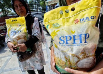 Penyaluran Beras SPHP Baru Capai 29 Persen dari Target, Ini Penyebabnya