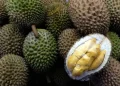 DPR Soroti Penjualan Durian Ilegal Malaysia ke Indonesia Masuk 10 Ton Sehari Tanpa Izin