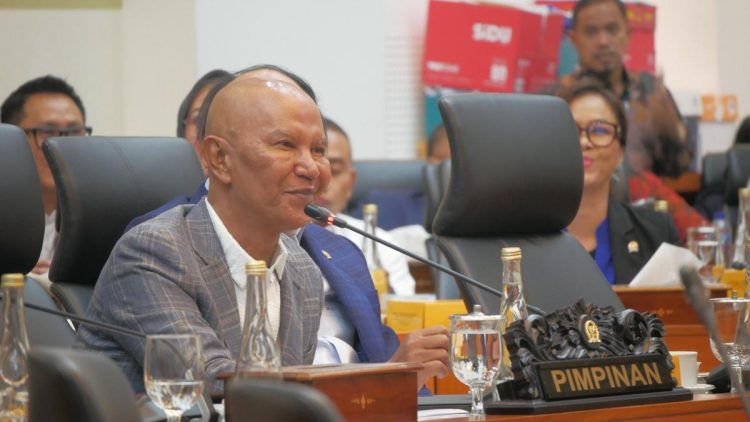 Setahun Pemerintahan Prabowo-Gibran, PDIP Berikan 4 Catatan Penting