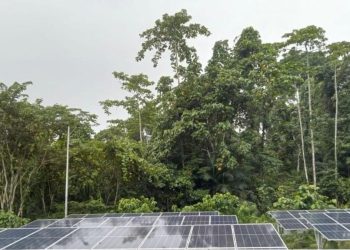 Biaya Listrik di Indonesia Timur 17,5 Kali Lipat Lebih Mahal daripada Jakarta