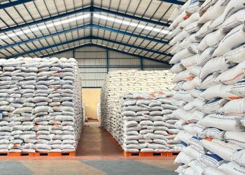 Rencana Pembangunan 100 Gudang Baru Bulog Dapatkan Rp 5 Triliun