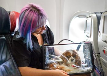 Maskapai Pertama di Australia Izinkan Hewan Peliharaan Masuk Kabin