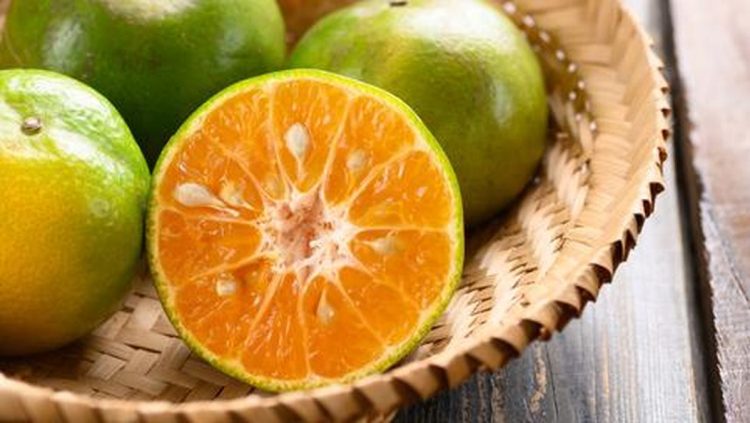 10 Buah yang Meningkatkan Kecerdasan Otak Anak, Apa Saja?