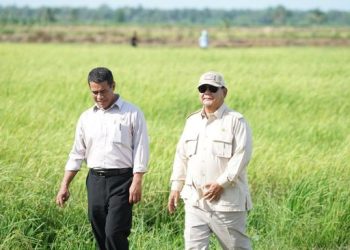 Belajar dari Soeharto, Prabowo Sukses Mencapai Swasembada Beras dalam Setahun
