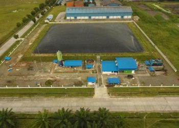 90 Persen Kredit Karbon Baru Terjual, Pembeli Sektor Perbankan dan Perdagangan