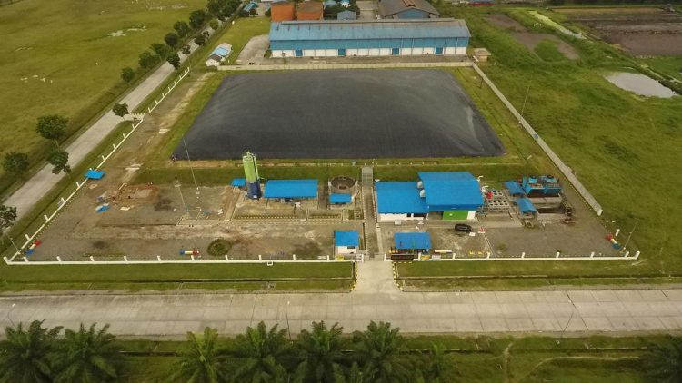 90 Persen Kredit Karbon Baru Terjual, Pembeli Sektor Perbankan dan Perdagangan