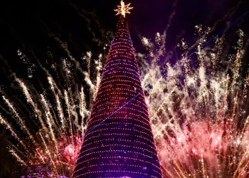 Rangkaian Program Spesial Libur Akhir Tahun di Mal Central Park, Tradisi Nyalakan Pohon Natal Meriah