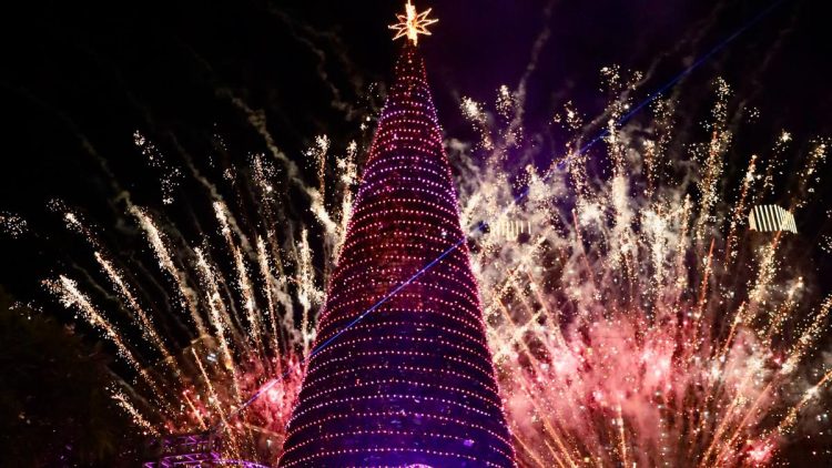 Rangkaian Program Spesial Libur Akhir Tahun di Mal Central Park, Tradisi Nyalakan Pohon Natal Meriah