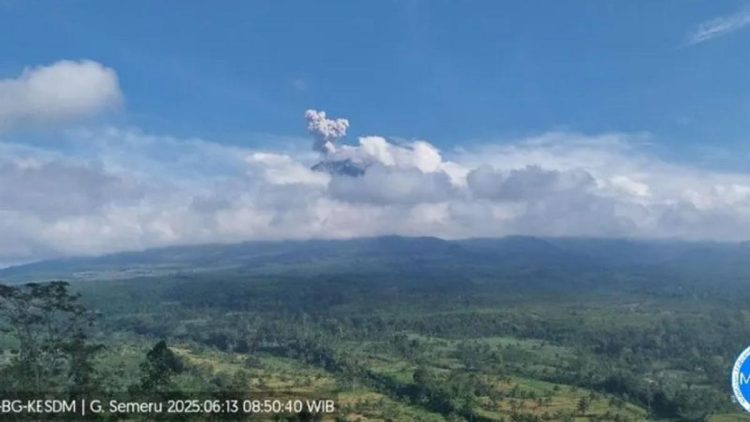 7 Fakta Erupsi Semeru 19 November 2025, Beberapa Pengungsi Memilih Kembali ke Rumah