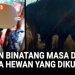 Kebun Binatang Masa Depan Tanpa Mengurung Hewan namun tetap Memperlihatkan Keberagaman