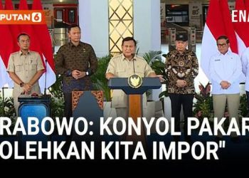 Pakar Merasa Hebat Izinkan Impor, Pikirannya Sesat!