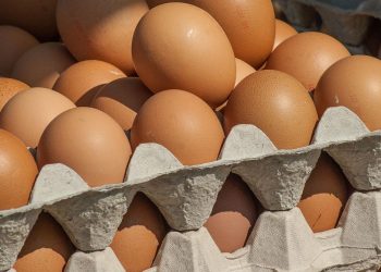 Mengapa Telur Lebih Baik Dikukus Dibandingkan Direbus