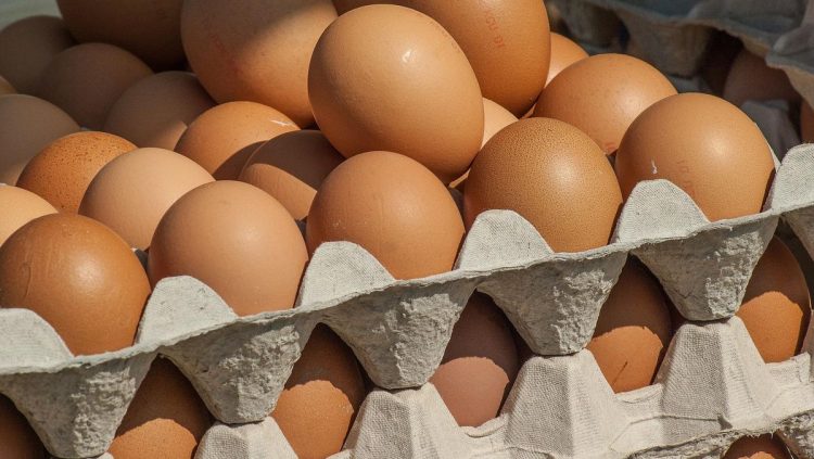 Mengapa Telur Lebih Baik Dikukus Dibandingkan Direbus