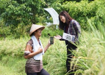 KUR BRI Tingkatkan Omzet UMKM Menjadi Dua Digit, Simak Buktinya!