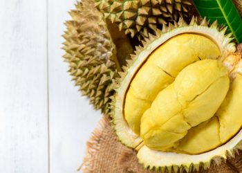 Jangan Makan Durian Bersamaan Dengan 6 Makanan Ini Sebaiknya Dihindari