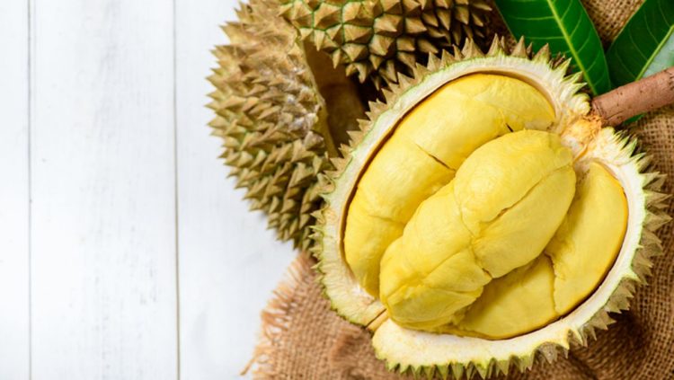 Jangan Makan Durian Bersamaan Dengan 6 Makanan Ini Sebaiknya Dihindari