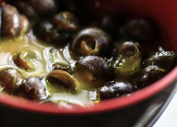 Manfaat Tutut bagi Kesehatan dari Meningkatkan Imunitas hingga Mencegah Anemia