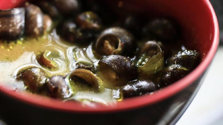 Manfaat Tutut bagi Kesehatan dari Meningkatkan Imunitas hingga Mencegah Anemia