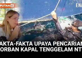Hari Kelima Pencarian Korban Kapal, Apa Hasilnya?