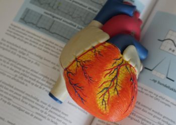 Mengenal Thromboelastography TEG Pemeriksaan Pembekuan Darah untuk Terapi Pasien Jantung