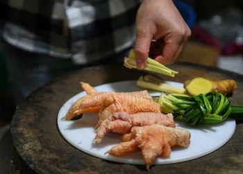 Ceker Ayam dan Kandungan Kolesterolnya Cek Faktanya di Sini
