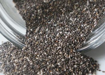 6 Manfaat Chia Seed untuk Pencernaan dan Melancarkan BAB serta Mengatasi Sembelit